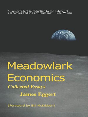 cover image of Meadowlark Economics
